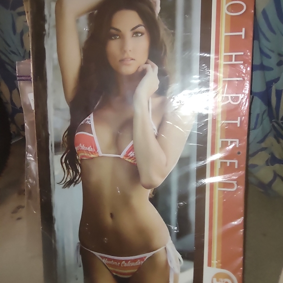 Hooter's Calendar new collectable - Picture 1 of 16